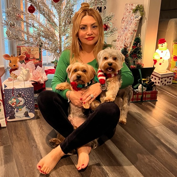 Meet your Posher, Ev, Rocky & Apollo 💖💙 Every purchase feeds a homeless dog🐾🐾 - Picture 12 of 13